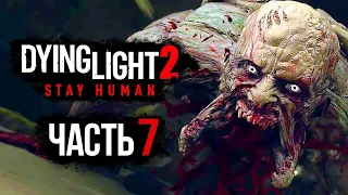 Dying Light 2: Stay Human ➤ Прохождение [4K] — Часть 7: НОЧЬ ЖИВЫХ МЕРТВЕЦОВ