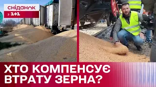 180 ТОНН ЗЕРНА висипали польські фермери! Хто компенсує Україні збитки?