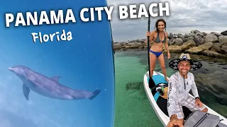 Swim with DOLPHINS! 🐬 St. Andrews State Park | Panama City Beach, Florida
