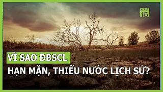 Vì sao ĐBSCL hạn mặn, thiếu nước lịch sử? | VTC16