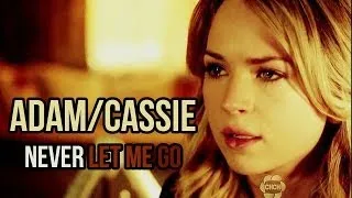 Adam & Cassie - Never let me go
