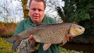 Small River Fishing - Link Ledgering (Video 106)