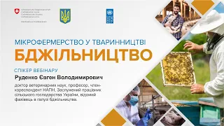 Вебінари з мікрофермерства. Бджільництво