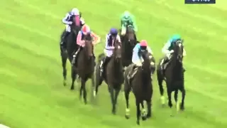 2012 JLT Lockinge Stakes - Frankel