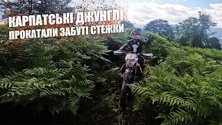 КАРПАТСЬКІ ДЖУНГЛІ // Такої трави я ще не бачив // Kovi 250 Advance // KTM EXC 300