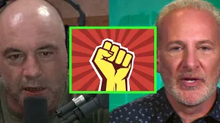 Peter Schiff's Critiques of Socialism  | Joe Rogan