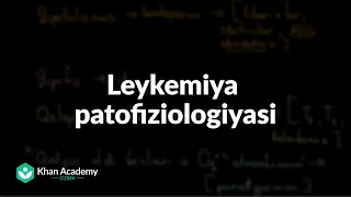 Leykemiya patofiziologiyasi | Leykemiya | Tibbiyot