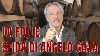 StorieDivine: LA FOLLE SFIDA DI ANGELO GAJA, IL RE DEL BARBARESCO!