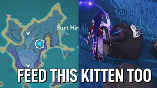 Feed This Kitten Daily For A Precious Chest and An Achievement [Genshin Impact 2.1]