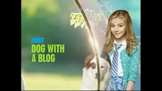 Disney Channel Next Bumper (Dog With A Blog) (Original and New Episode Versions) (Summer 2014)