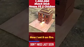 1,000,000 Match Stick House VS 2 Chicken #shorts