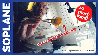 ANA 全日空 ECONOMY CLASS TRIP REPORT 777-300ER (SO MUCH FOOD!!!)