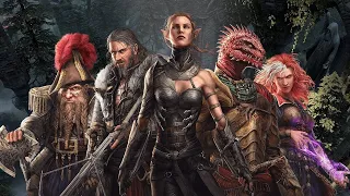 Просто играю Divinity: Original Sin 2