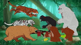 Big Cats, Tiger, White Tiger vs Gorilla, Orang Utan, Albino Gorilla vs Grizzly Bear - DC2 Animation