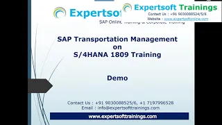 SAP S4HANA TM Training | SAP TM 9.5 Online Training for USA UK Cannada