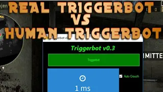 Real Triggerbot VS Human Triggerbot!