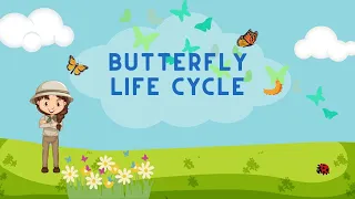 Life cycle of butterfly | From Caterpillar to Butterfly | #aumsum #kids #science #education #whatif