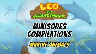 Marine Animals Minisode Compilation - Leo the Wildlife Ranger | Animation | For Kids