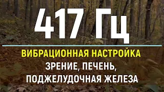 417 Гц КВАНТОВОЕ ИСЦЕЛЕНИЕ ЗРЕНИЯ, ПЕЧЕНИ, ПОДЖЕЛУДОЧНОЙ ЖЕЛЕЗЫ (Исцеление звуком, Гц)