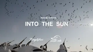 INTO THE SUN - canada goose hunting and snow goose hunting in one day.