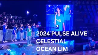 2024 PULSE ALIVE | CELESTIAL | ED Sheeran | OCEAN LIM