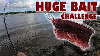 Huge Bait Challenge - River Monster!