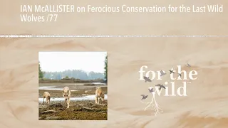 IAN McALLISTER on Ferocious Conservation for the Last Wild Wolves /77