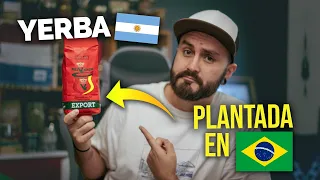 Review Yerba Mate Rei Verde estilo ARGENTINO 🇦🇷