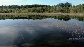 Тверские карьеры. Путешествую под водой в поисках рыбы. Подводные съёмки