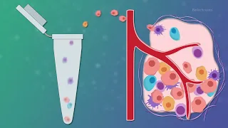 Single-cell analysis with nanopore sequencing