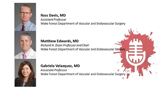 Renal Artery Vascular Pathology: Contemporary Management and Role for Open Surgical Reconstruction