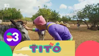 Excursió al refugi d'animals - Titó