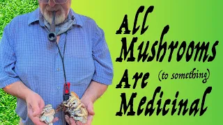 All Mushrooms are Medicinal