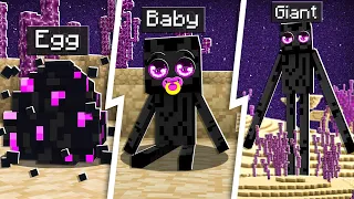 The 5 BEST Pets to Tame in Minecraft!