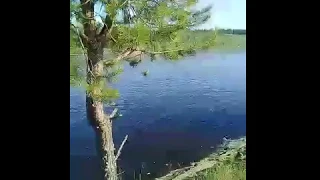 В Корткеросском районе КамАЗ смыло в реку вместе с мостом