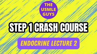 Endocrine Lecture 2 | USMLE Guys Step 1 Crash Course