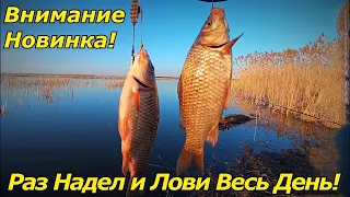 ЭТА НАСАДКА ИСТРЕБИТ ВСЕГО КАРАСЯ! ЛОВЛЯ КАРАСЯ на ПРУЖИНУ!