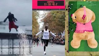 Wacky World Records of 2019