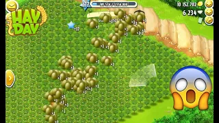 Hay Day Harvesting 1000+ Olives with XP Booster!