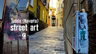 Tudela (Navarra) Street Art