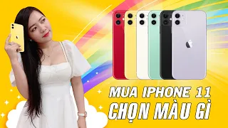 Mua iPhone 11 nên chọn màu gì ?