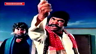 SULTAN RAHI . IQBAL HASSAN . RANGEELA . MUSTAFA QURESHI 👊 ACTION CLIP 👊