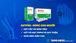 Thảo dược lành tính cho người bệnh Gout có biến chứng hạt tophi, biến chứng trên thận | VTC Now