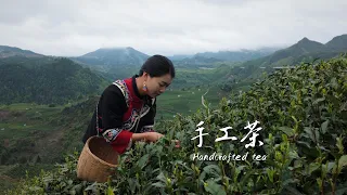 From Leaf to Cup, Let's Explore Handcrafted Tea!