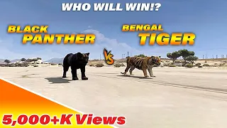 gta:v   tiger VS panther(who will win!)