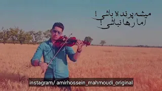 اجرای بسیار زیبای آهنگ "می شه پرنده باشی" با ویولون توسط امیرحسین محمودی