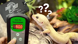 Leopard Gecko Heating (how to use a thermostat and heat mat for reptiles)