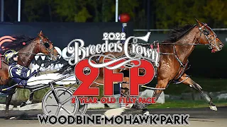 2022 Breeders Crown - Sylvia Hanover - 2FP