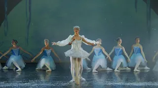 Tampa City Ballet's The Nutcracker