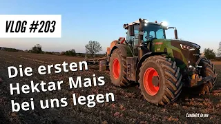 Vlog #203 Die ersten Hektar Mais bei uns legen